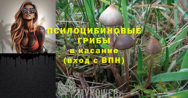 кокаин VHQ Гусев