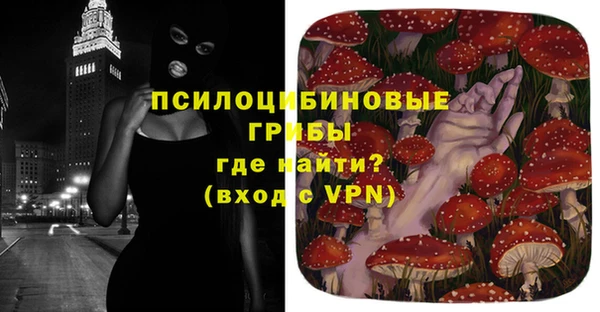 альфа пвп Гусиноозёрск