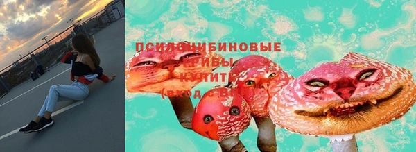 альфа пвп Гусиноозёрск